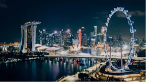  Singapore Flyer 